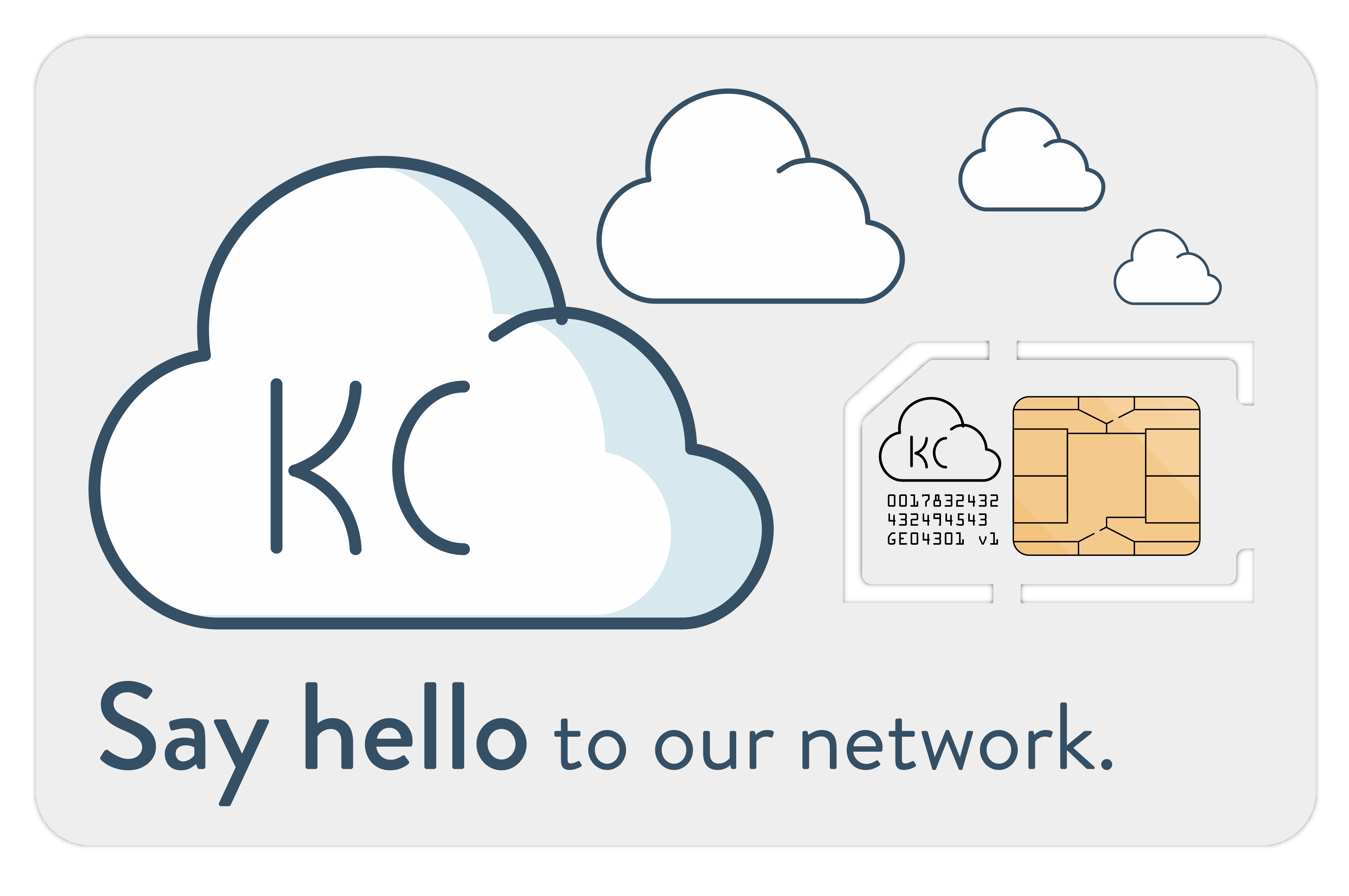 Business Phone Number & SIM Card