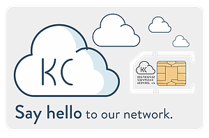 Business Phone Number & SIM Card